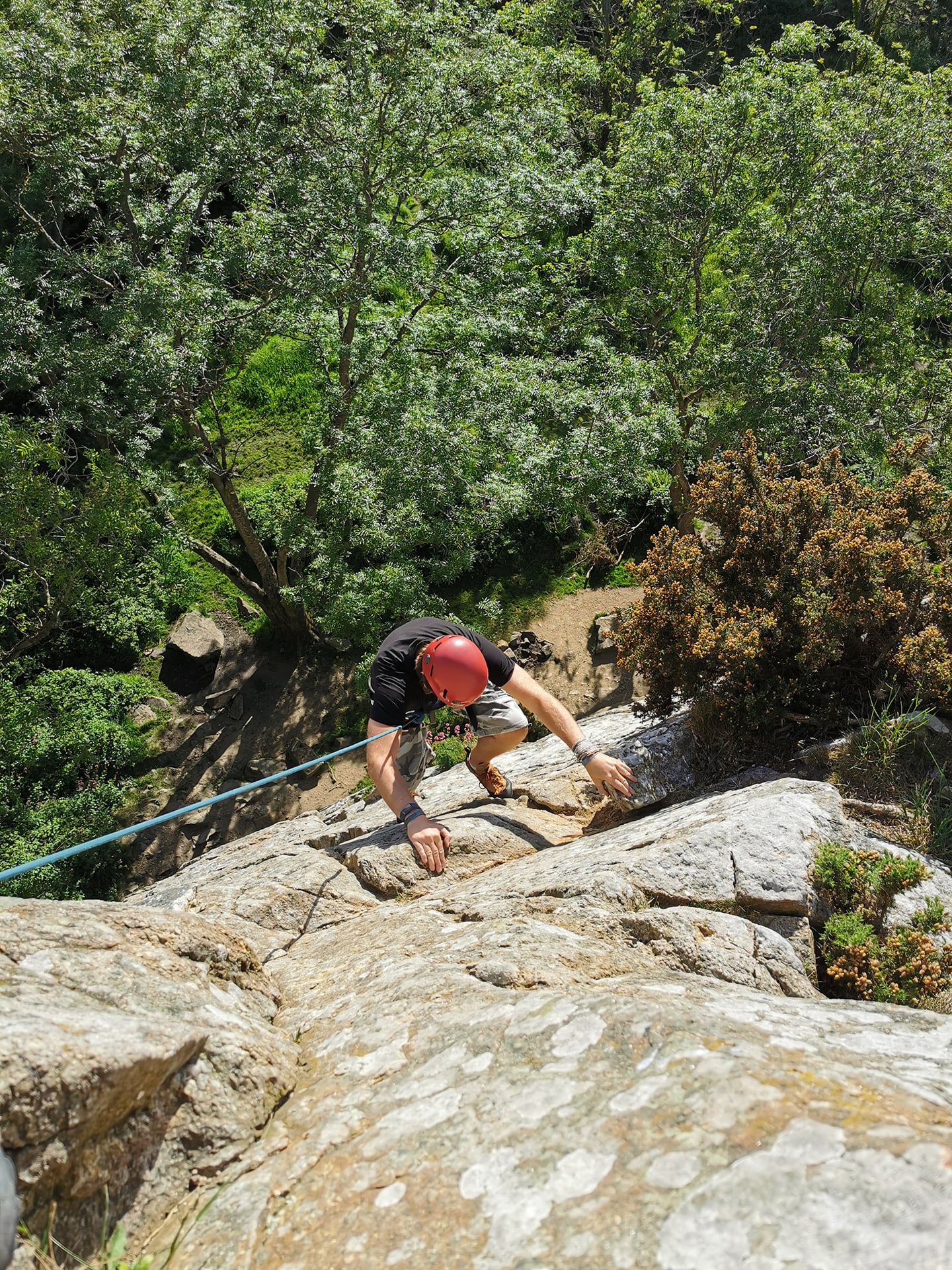 Climbing courses dalkey ireland